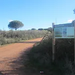 Cortijo \
